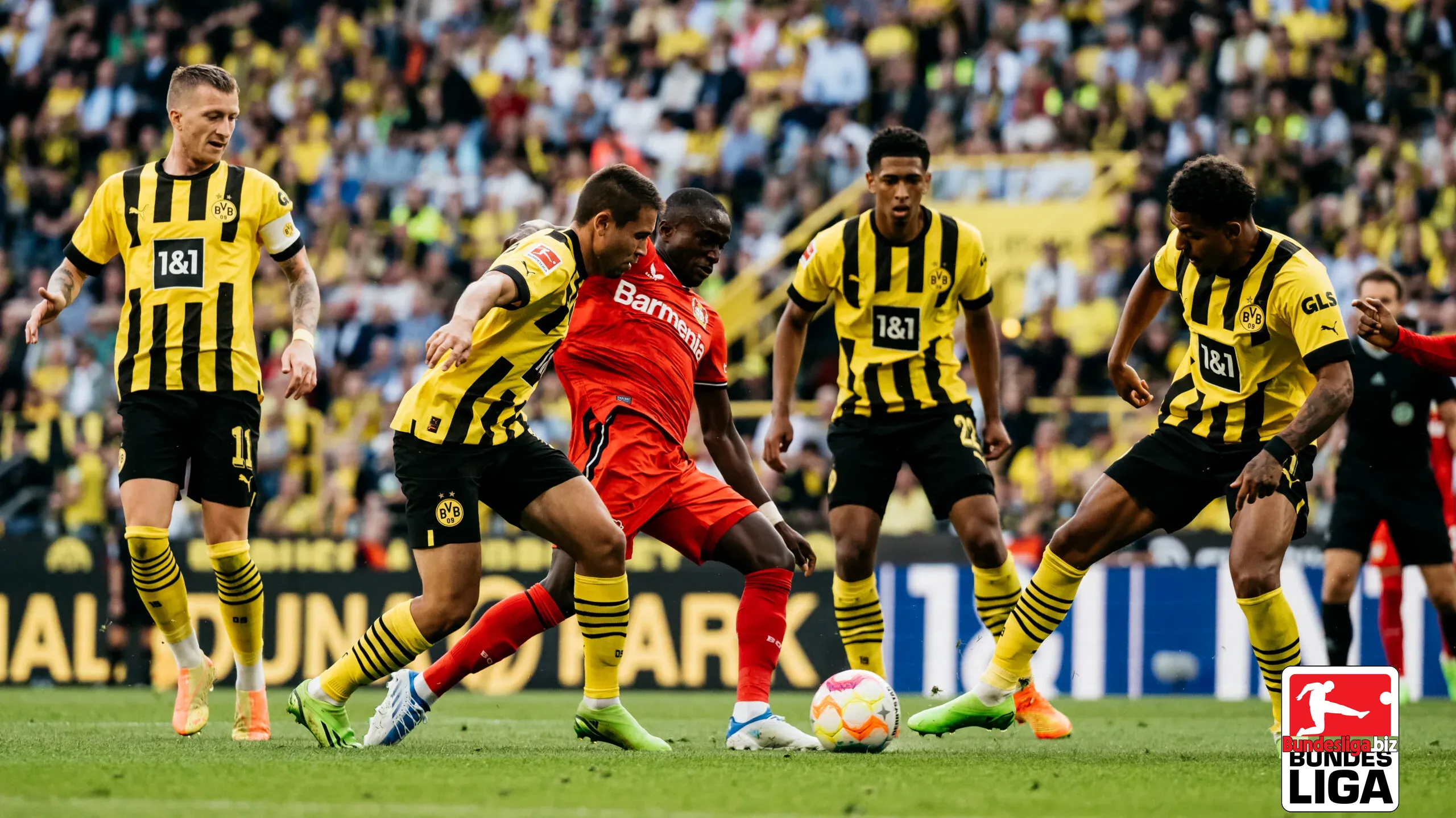 Số liệu thống kê Dortmund vs Leverkusen