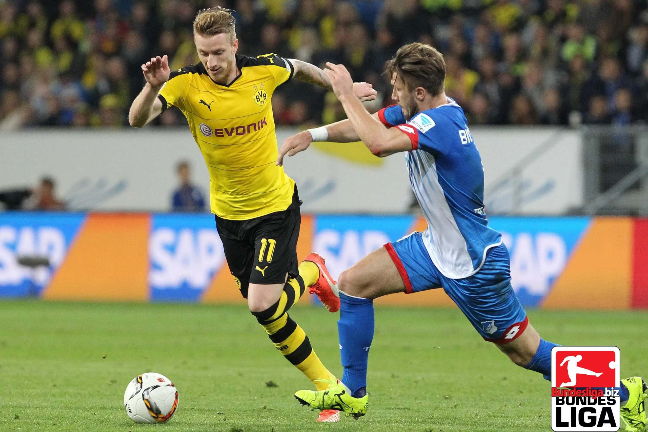Lịch sử đối đầu Hoffenheim gặp Dortmund