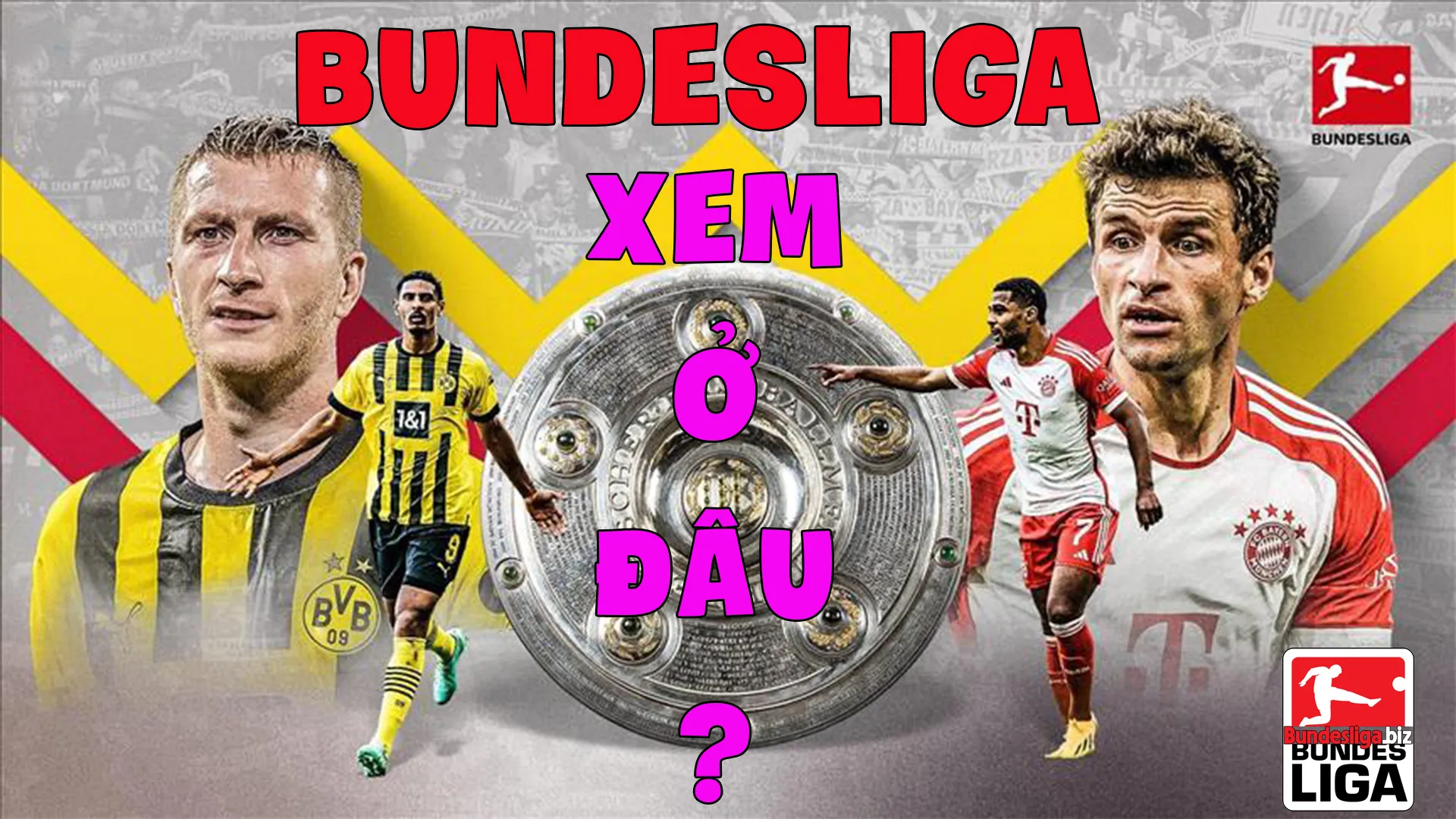 Bundesliga xem ở đâu? Trực tiếp Bundesliga trên kênh nào?